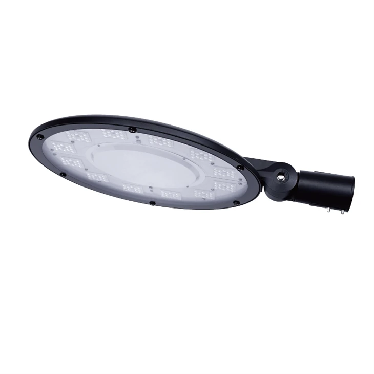 100W LED vrtna svjetiljka